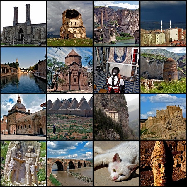collage of pictures