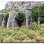 Sillyon City Walls