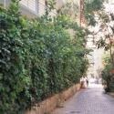 Alanya � Selam Sokak