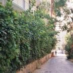 Alanya � Selam Sokak