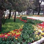 Park at �amlıca Hill
