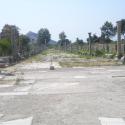 Road to the sea