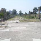 Road to the sea