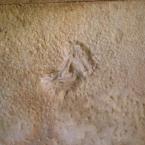 Ephesus wall