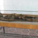 Mummie
