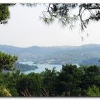 Seleukia