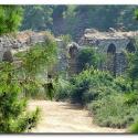 Seleukia