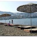 G�ndogan