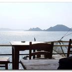 Turgutreis