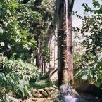 Upper D�den Waterfalls -Detail from the park