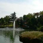 Emirgan Grove