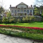 Emirgan Grove
