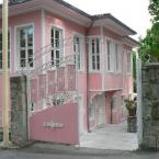 Emirgan Grove