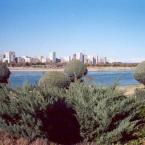 Adana from the lake