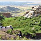 view in the mountains