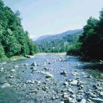 Brook in Arhavi, Artvin