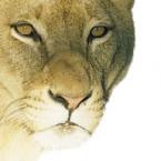 Aslan5
