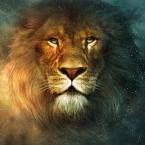 Aslan7