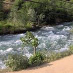 Barhal river