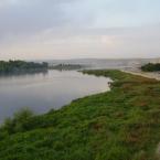 Tigris