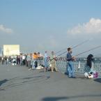 Fishermen on Galata Bridge