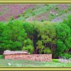 Cankiri - Sabanozu