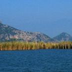 Dalyan Delta