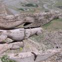 Carvings