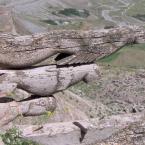 Carvings