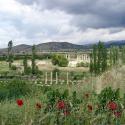 Roman Ruins