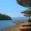 B�rd�bet beach