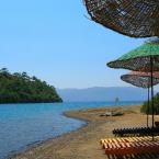 B�rd�bet beach