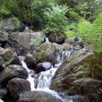 D�zce - Dere – Brook
