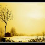 D�zce - Tepecam Village