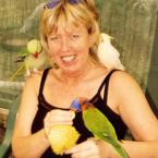Feeding the birds in Perth, Western Australia