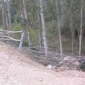 tree fence