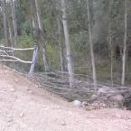 tree fence