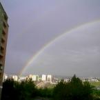 the rainbow