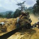 Turkish village - harvest time