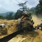 Turkish village - harvest time