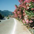 Icmeler in May