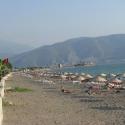 Beach Calis