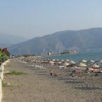 Beach Calis