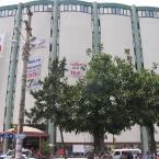 Pictures: Adana Cetinkaya