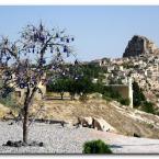 U�hisar
