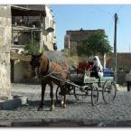 U�hisar