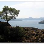 Dat�a Landscape
