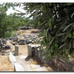 Priene