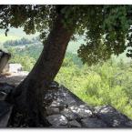 Priene 