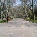 Topkapi(park)